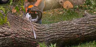 Lawn Irrigation Installation and Maintenance in Makakilo, HI
